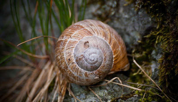 BBC Environment programme flouts BBC impartiality rules