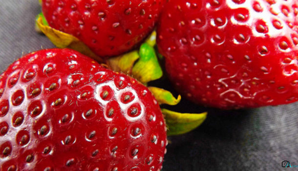 BBC SPINS FRUIT FARMS MIGRANT LABOUR ’SHORTAGE’