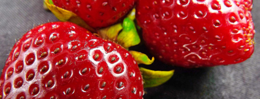 BBC SPINS FRUIT FARMS MIGRANT LABOUR ’SHORTAGE’